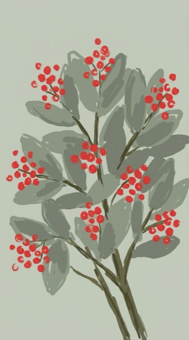 A brush study of toyon with red berries